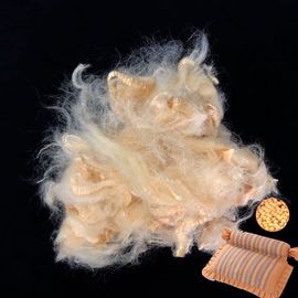 1.5D X 51mm Natural White Soybean Fiber For Textile Spinning / Filling