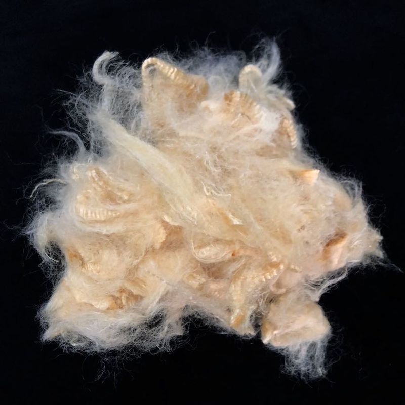 1.5D×38mm Soybean Protein Fiber Antibacterial For Textile Industry